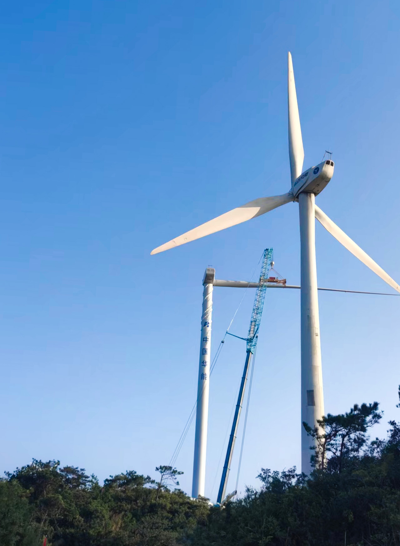 PG电子·仿照器(试玩游戏)官方网站