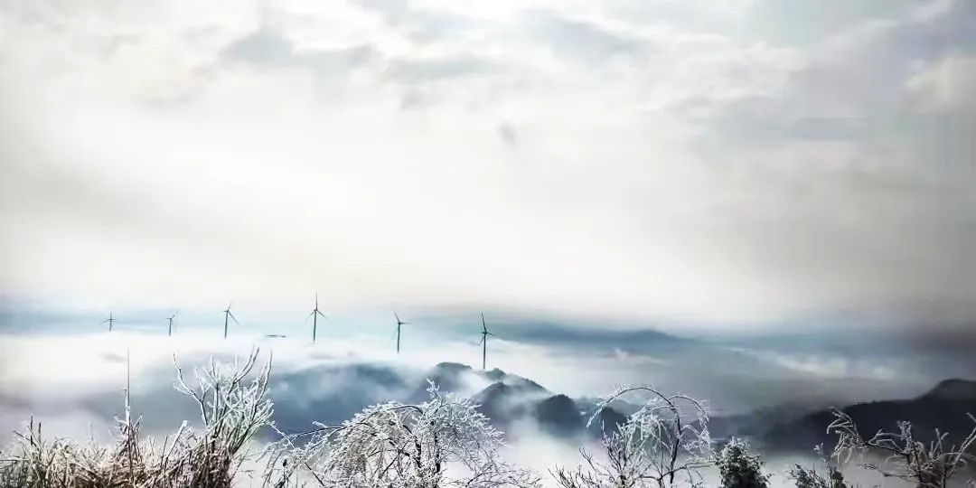 PG电子·仿照器(试玩游戏)官方网站