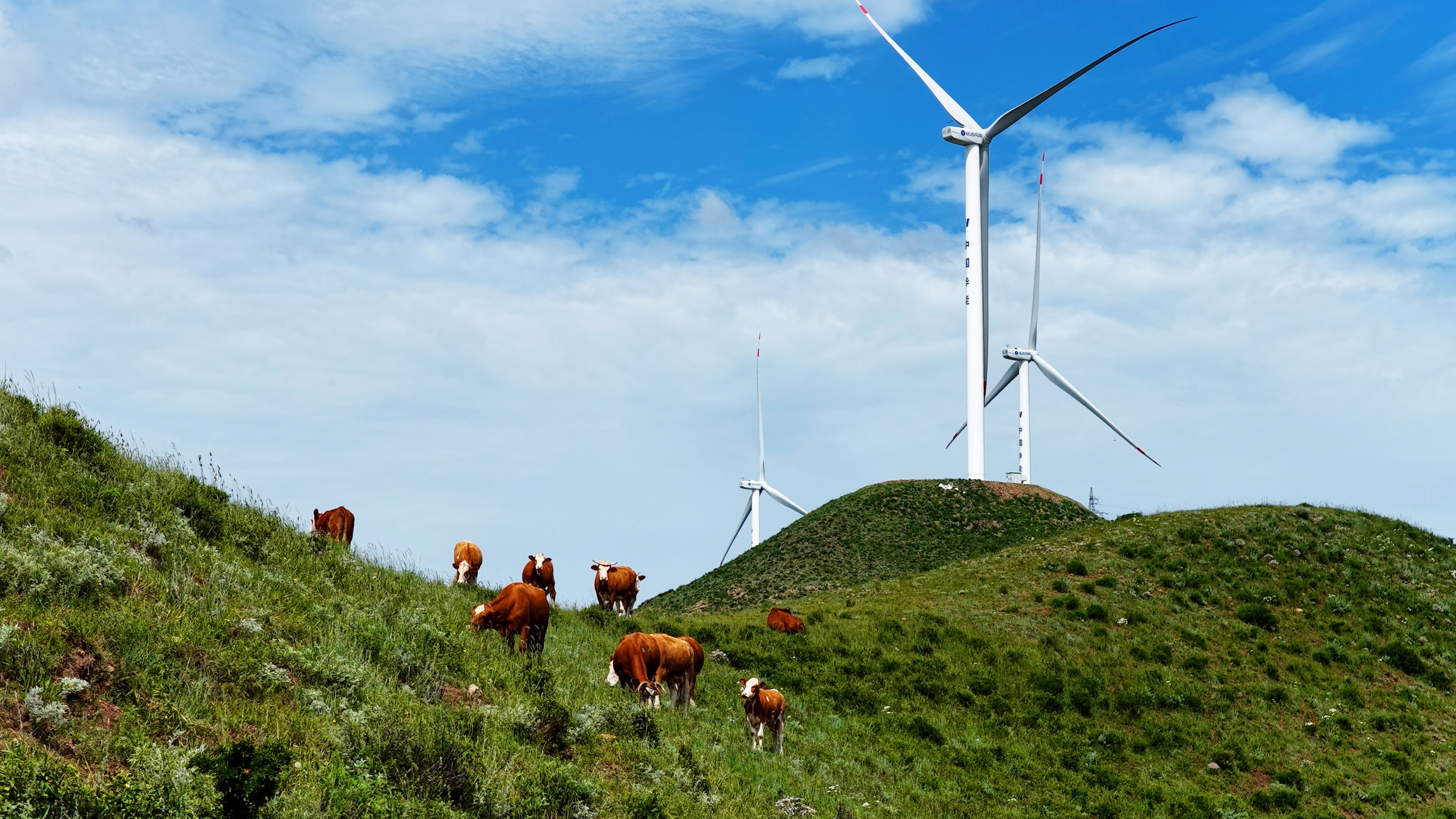 PG电子·仿照器(试玩游戏)官方网站